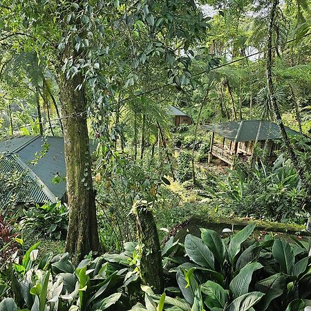 Rimba Eco Resort Tomohon Exterior photo