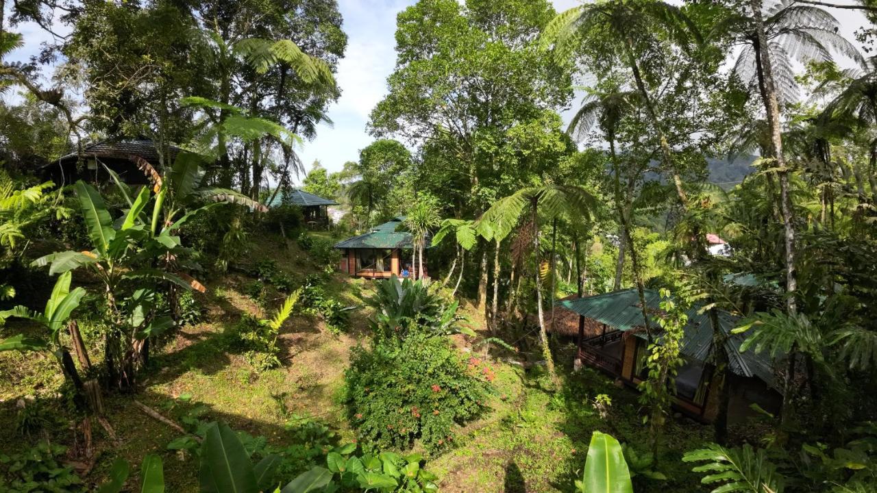 Rimba Eco Resort Tomohon Exterior photo