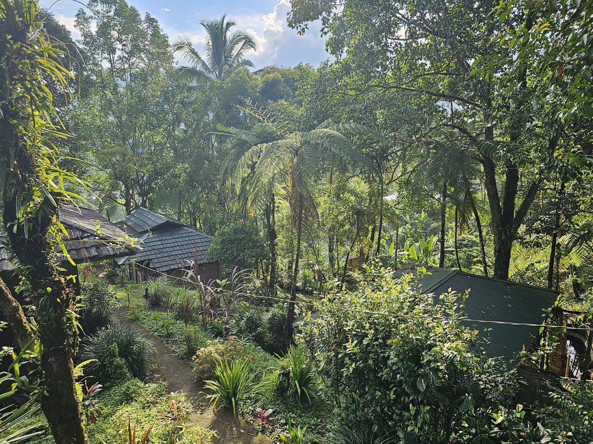 Rimba Eco Resort Tomohon Exterior photo